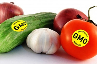 gmo-veggies